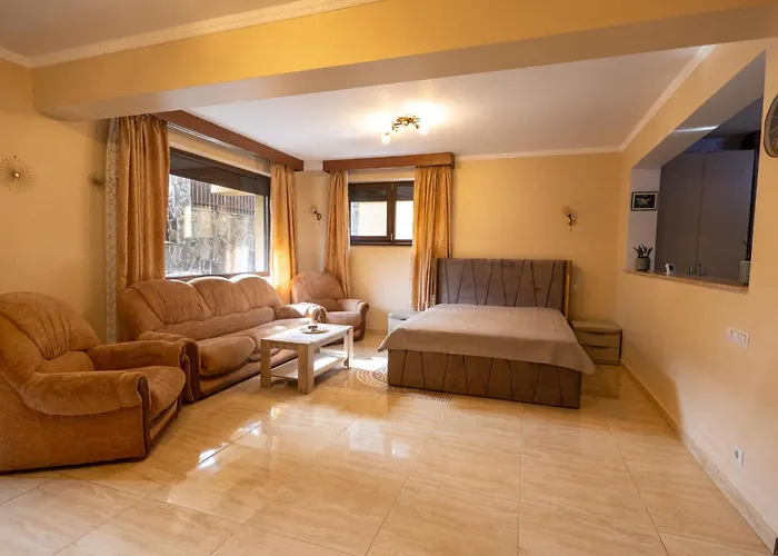 Walter Home Busteni With Private Terrace